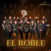 La Banda Que Hacía Falta - El Roble (En Vivo)